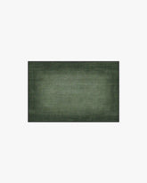 Aura Ombre Solid Sage Rug