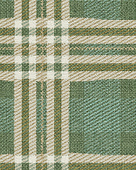 Birke Green Rug