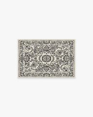 Delphina Black & White Rug