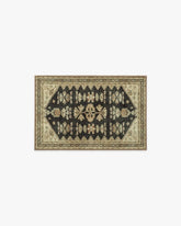 Pradera Tan & Soft Black Rug