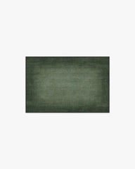 Aura Ombre Solid Sage Rug