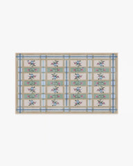 Quinnlyn Natural Multicolor Rug